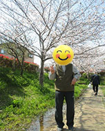 お花見