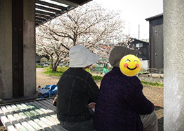 お花見