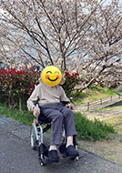 お花見