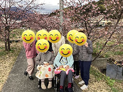 久しぶりの雪～三保へドライブ～寒さくら見学