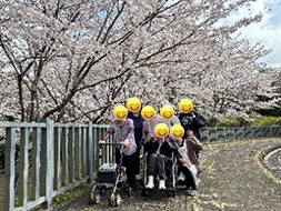 お花見週間🌸