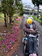 お花見週間🌸