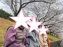 ドライブ　お花見、ソメイヨシノ