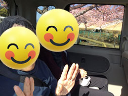 ドライブとお散歩