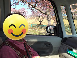 ドライブとお散歩