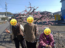 ドライブとお散歩