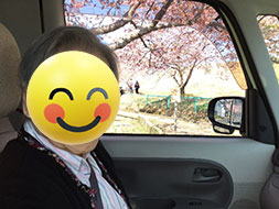 ドライブとお散歩