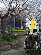 お花見